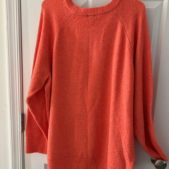 Torrid Raglan Pullover Sweater Tiger - Picture 6 of 8